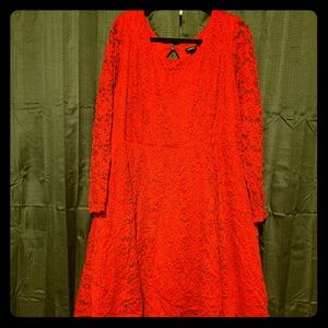 Elegant Skater Dress